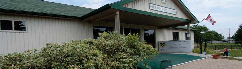 todi